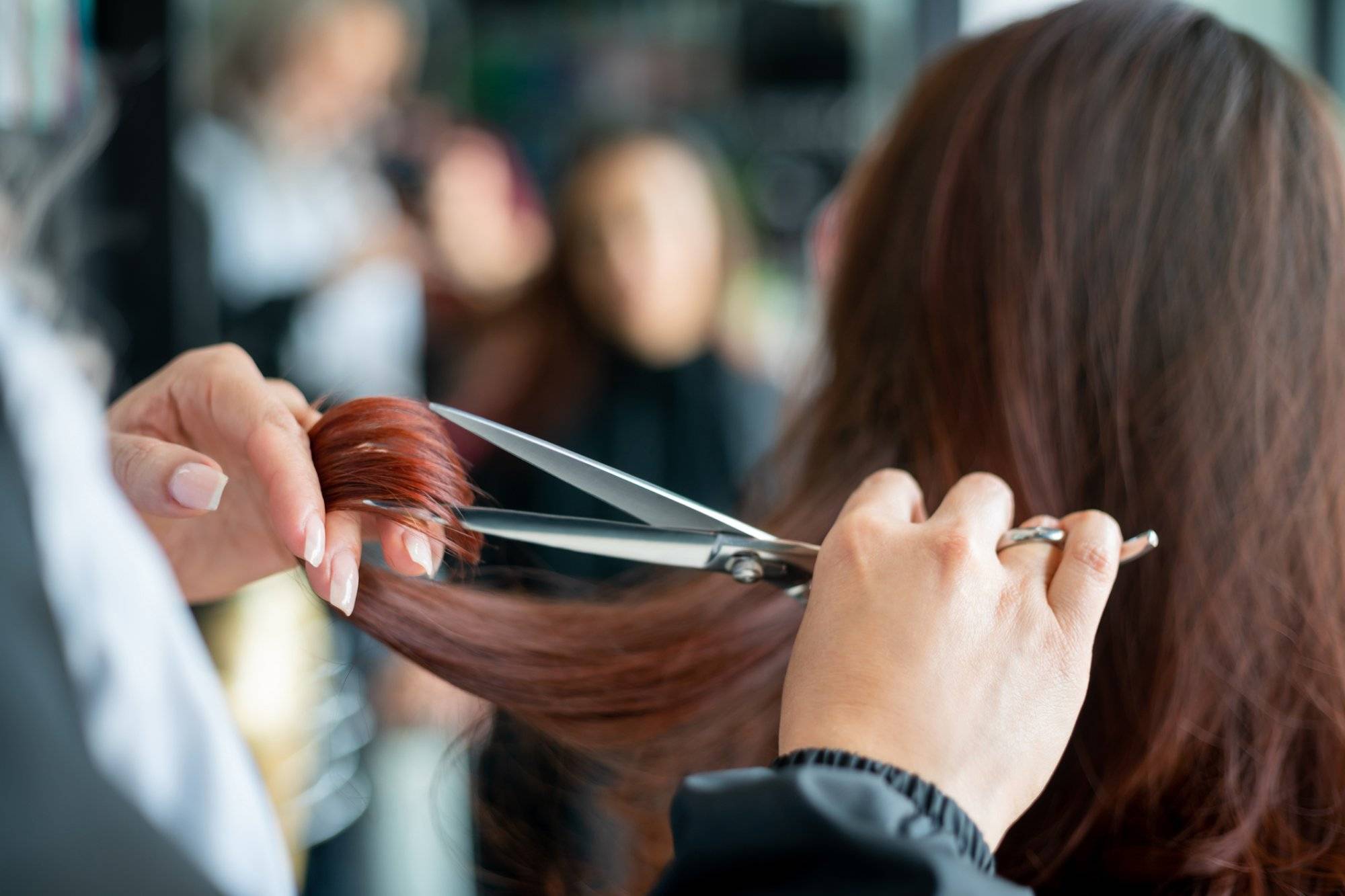 Close up of unrecognizable hairdresser cutting a female customerâs hair Close up of unrecognizable hairdresser cutting a female customerâs hair