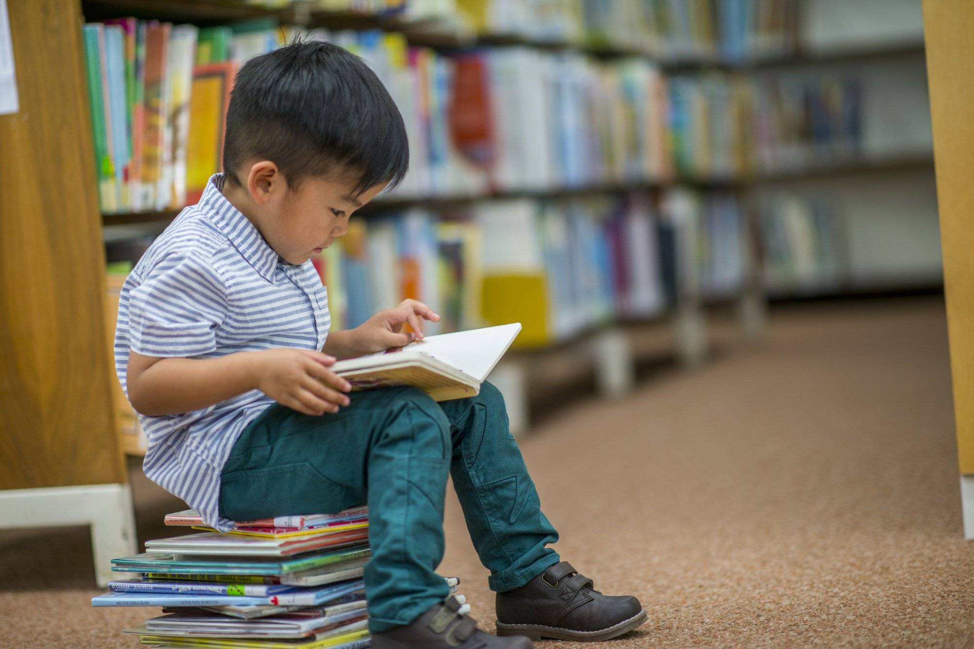 Explore The Best Austin Bookstore at The Homestead